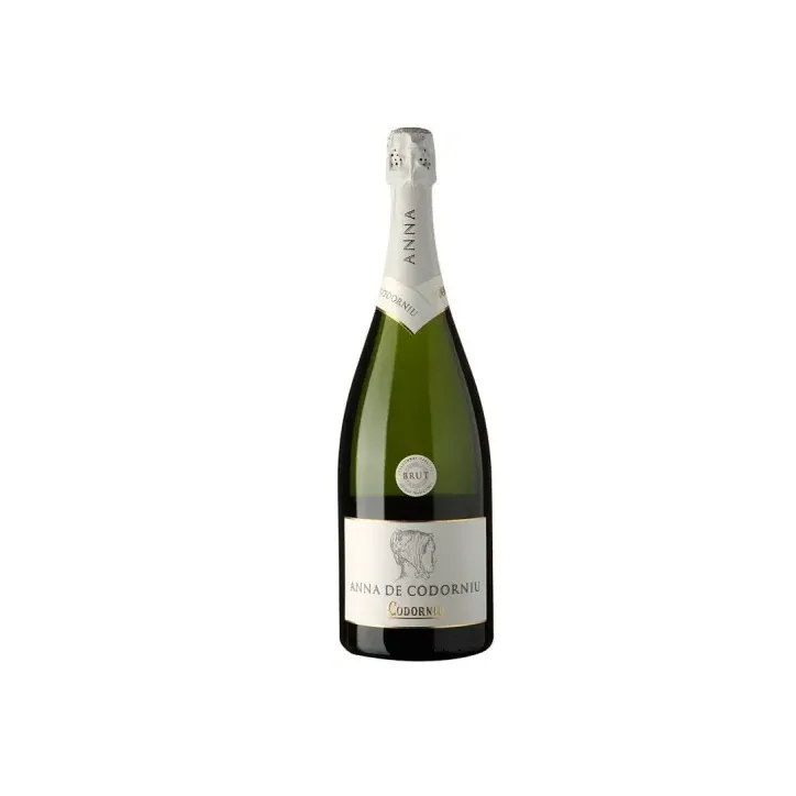 Anna de Codorníu Brut Magnum 1,5L