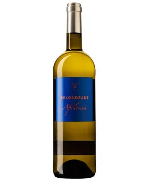 Quinta Apolonia 2024