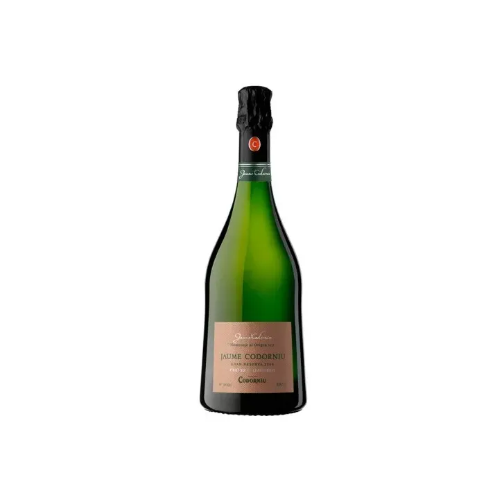 Jaume Codorniu Brut