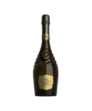 Cava Ars Collecta Blanc de Blancs