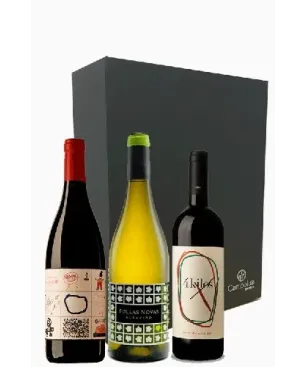 Estuche nombres Curiosos