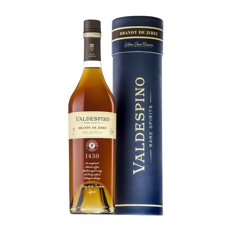 Brandy Valdespino Rare Colection