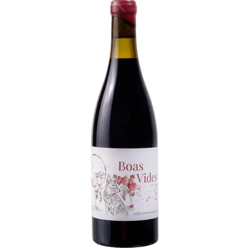 Boas Vides Sobranceiro 2021