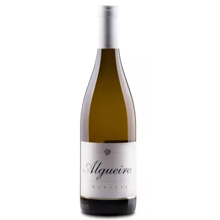 Algueira Anadelia 2020