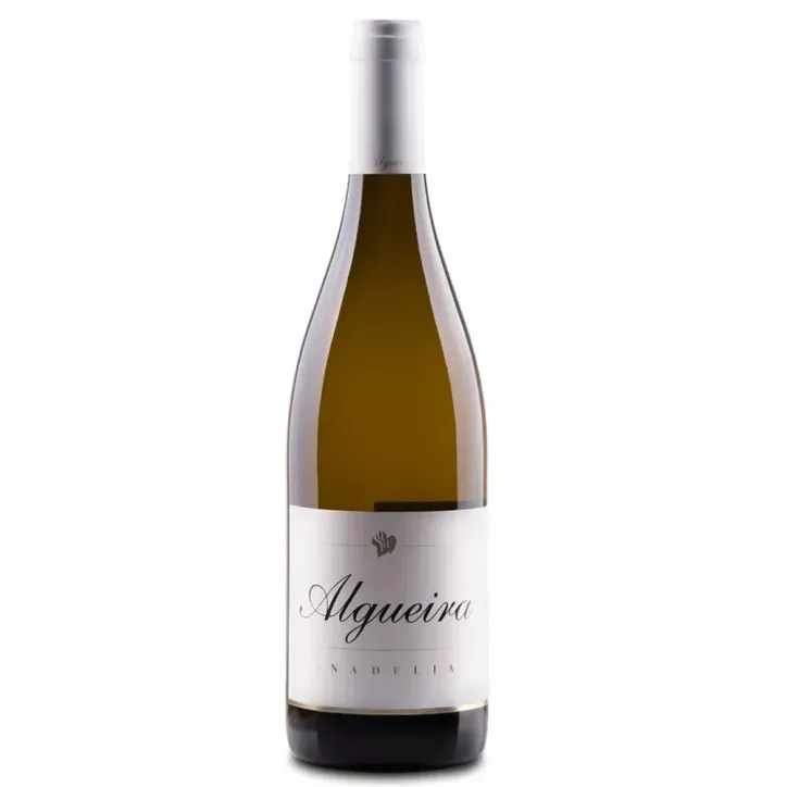 Algueira Anadelia 2020