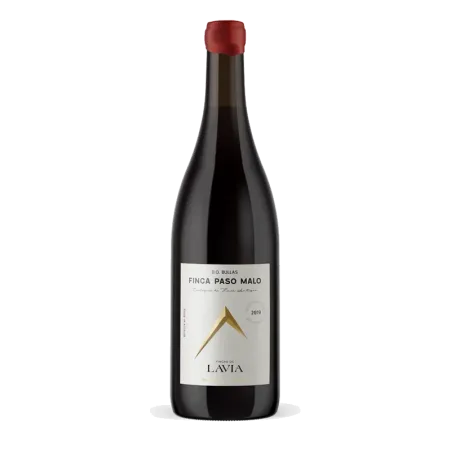 Lavia Finca Paso Malo 2019