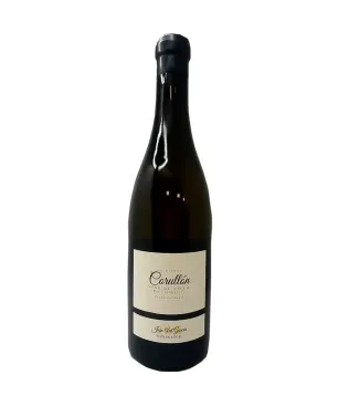 Jag Palomino de Corullon 2022