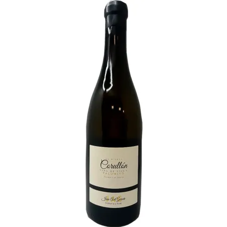 Jag Palomino de Corullon 2022