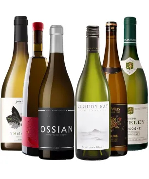 Pack de Blancos Vuelta al Mundo