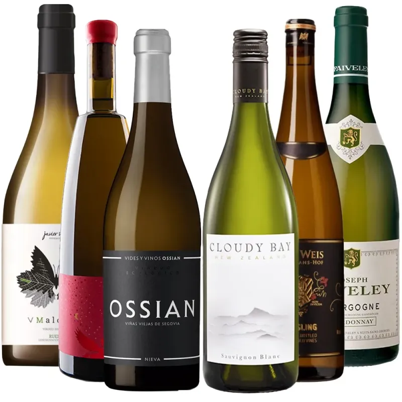 Pack de Blancos Vuelta al Mundo