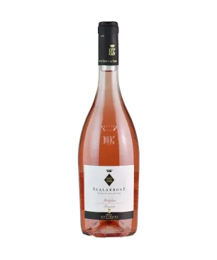 Scalabrone Tenuta Guado al Tasso Antinori 2021