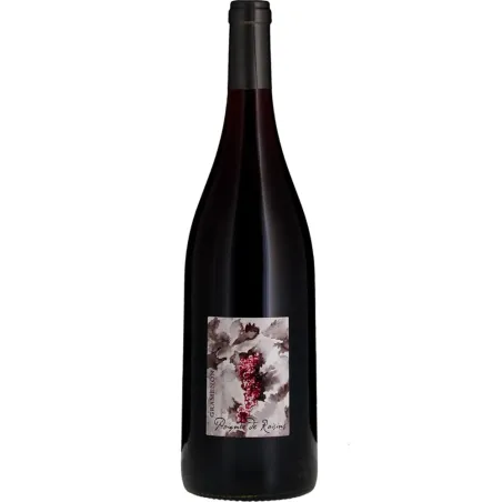 Domaine Gramenon Poignée De Raisins 2021 Magnum