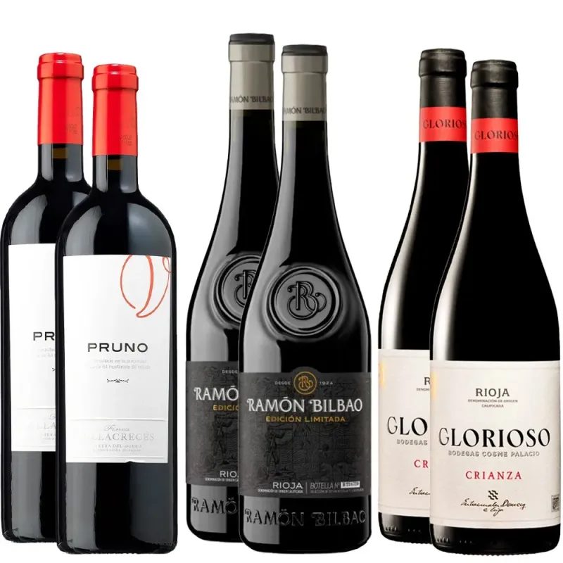 Pack 6 botellas Gourmet