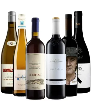 Pack 6 Vinos Bacchus