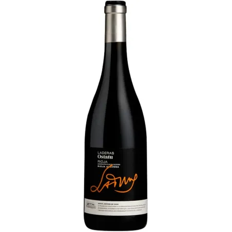 Laderas de Ostatu 2009