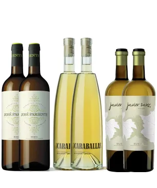Pack 6 botellas Verdejo