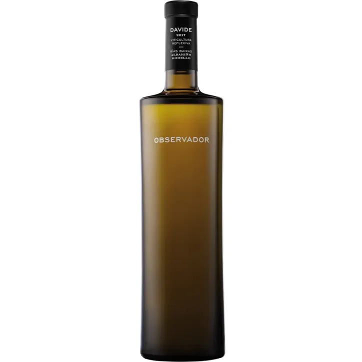 Davide Observador 2023