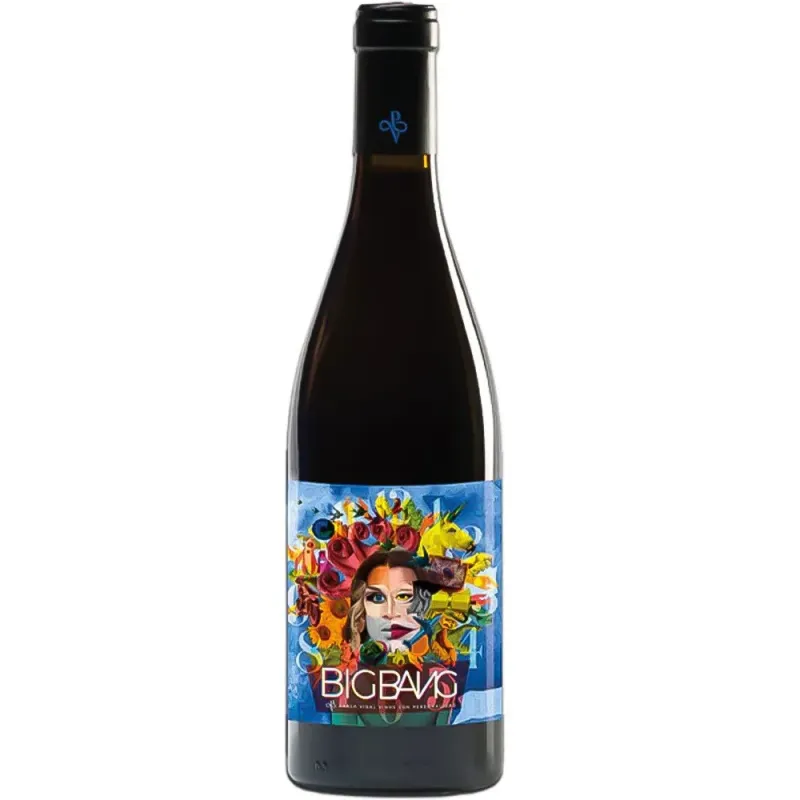 PVidal Big Bang 2020