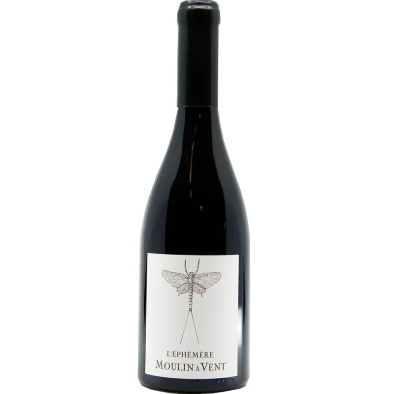 Desjourneys Moulin a Vent L'ephemere 2022