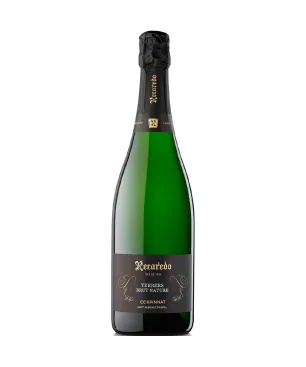 Recaredo Terrers Brut Nature Gran Reserva 2019 Magnum