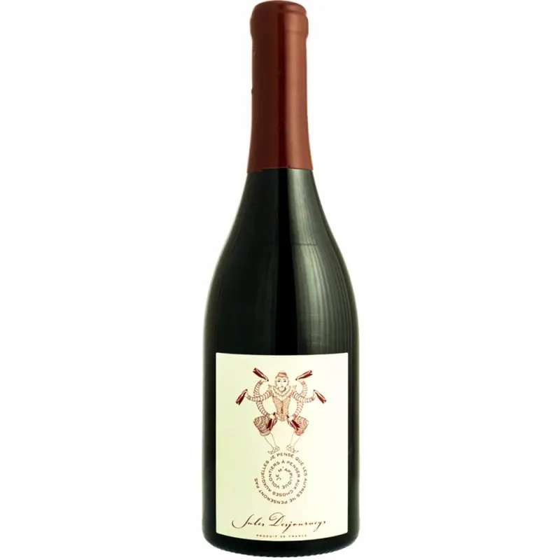 Domaine Jules Desjourneys Beaujolais 2022