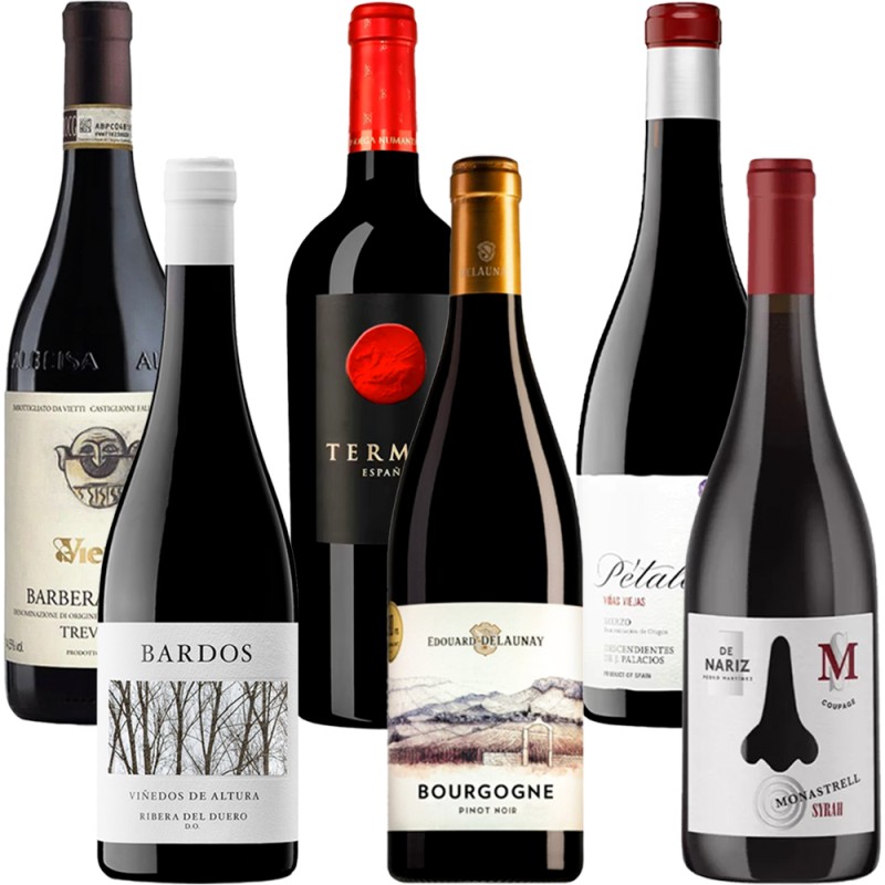 Pack Tintos de Autor