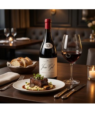 Jose Gil San Vicente