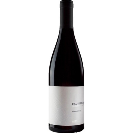 Cesar Marquez Pico Ferreira 2024