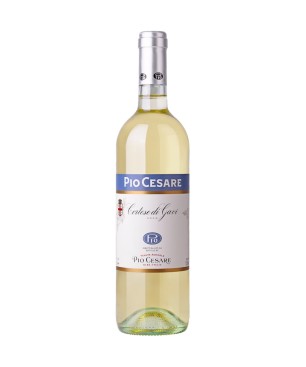 Pio Cesare Gavi 2024
