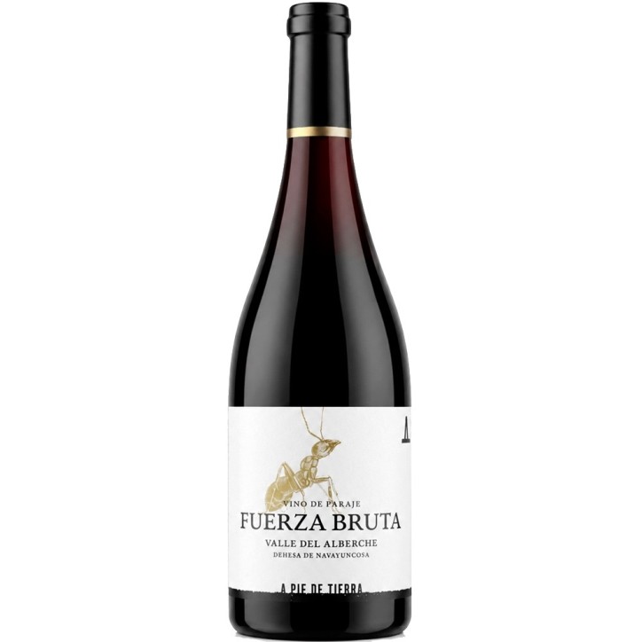 A Pie de Tierra Fuerza Bruta 2024