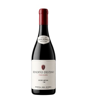 Bendito Destino Field Blend 2023