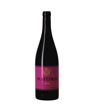 Adega Entrecantos Mateolo Tinto 2023