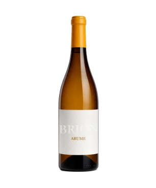 Brion Arume Treixadura 2024