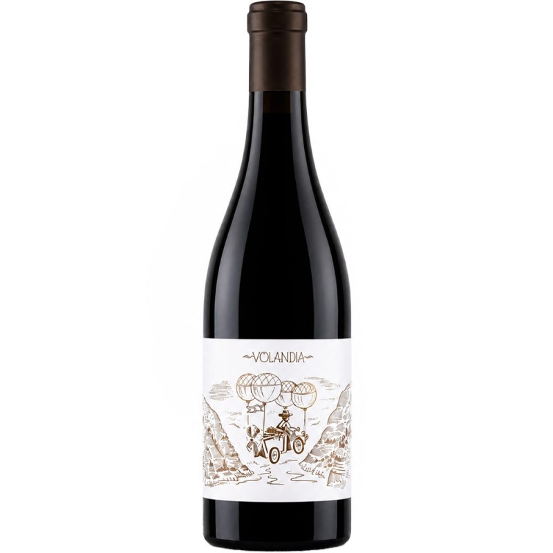 Volandia Mencía 2017